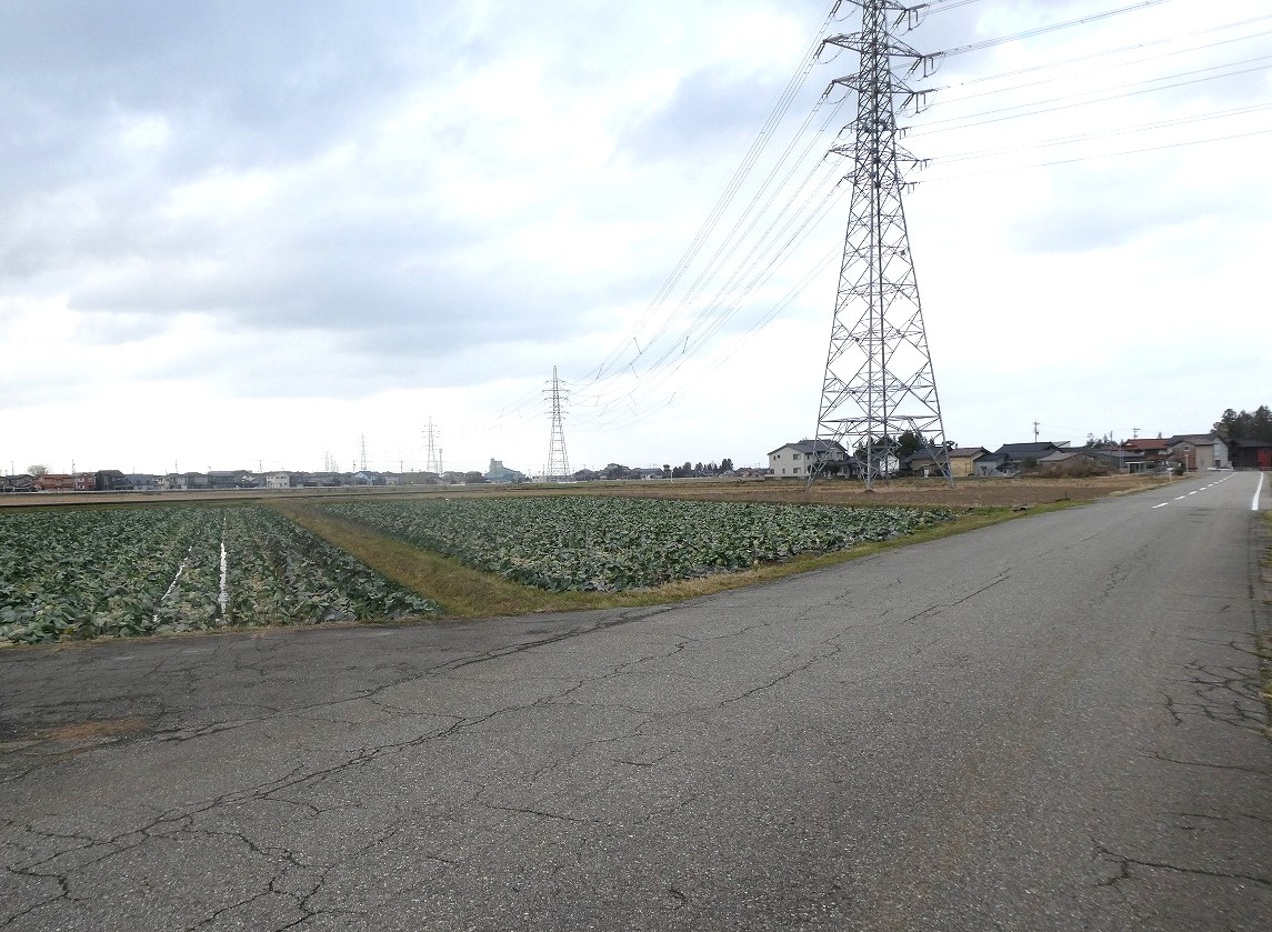 売農地　白山市田地町
